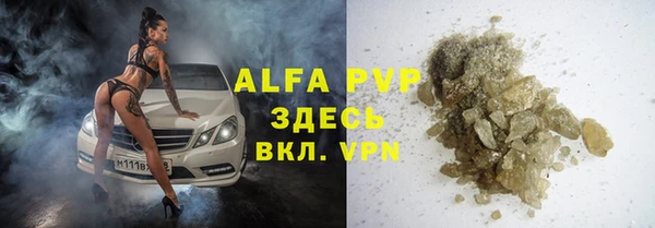 прущие грибы Лиски