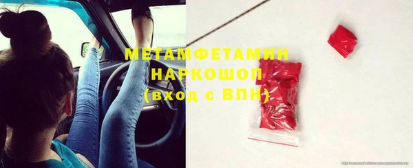 прущие грибы Лиски