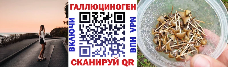 KRAKEN ONION  Подольск  Галлюциногенные грибы Psilocybine cubensis 